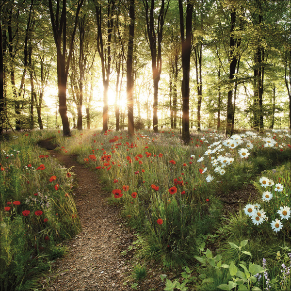 Augenblicke der Stille 2026, Innenansicht #6