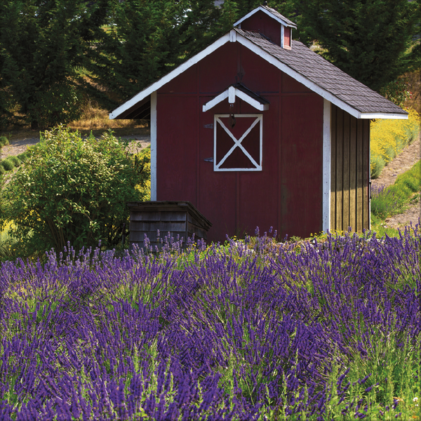 Augenblicke der Stille 2026, Innenansicht #7