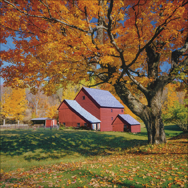 Augenblicke der Stille 2026, Innenansicht #10