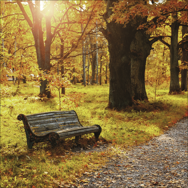 Augenblicke der Stille 2026, Innenansicht #11