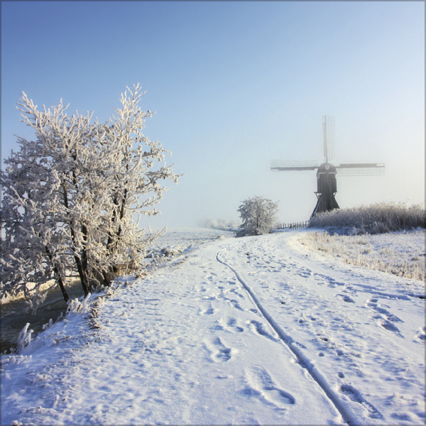 Augenblicke der Stille 2026, Innenansicht #12