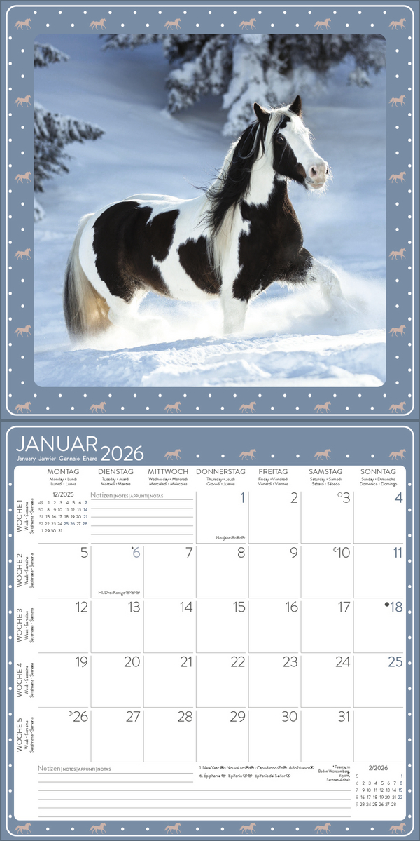 Pferdekalender 2026, Innenansicht #1