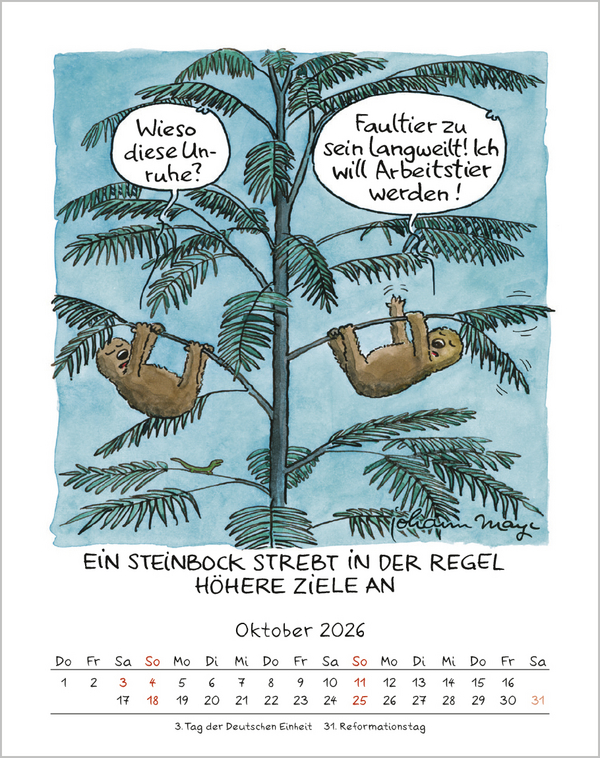 Steinbock 2026, Innenansicht #10
