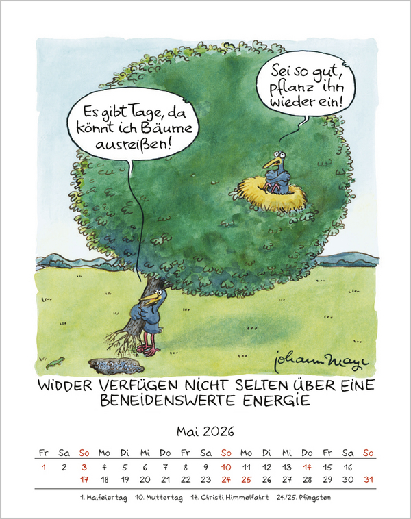 Widder 2026, Innenansicht #5