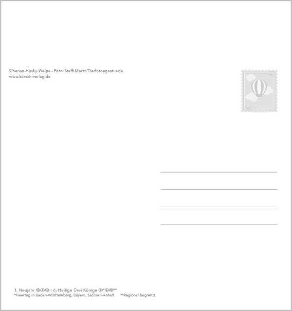 Hunde 2026, Innenansicht #13