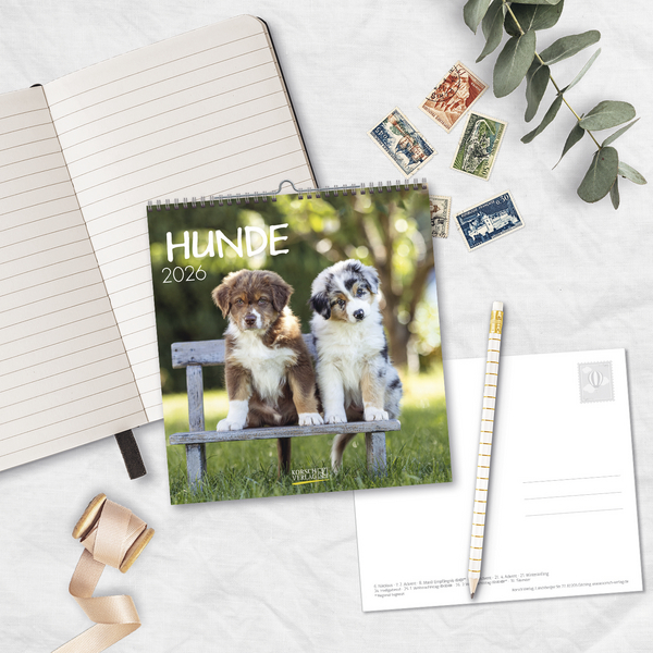 Hunde 2026, Innenansicht #16