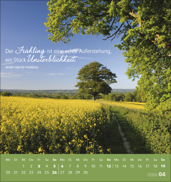 Genieße jeden Augenblick 2026, Innenansicht #4