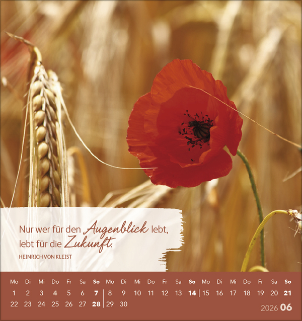 Genieße jeden Augenblick 2026, Innenansicht #6