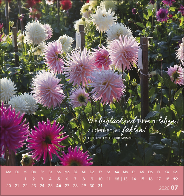 Genieße jeden Augenblick 2026, Innenansicht #7