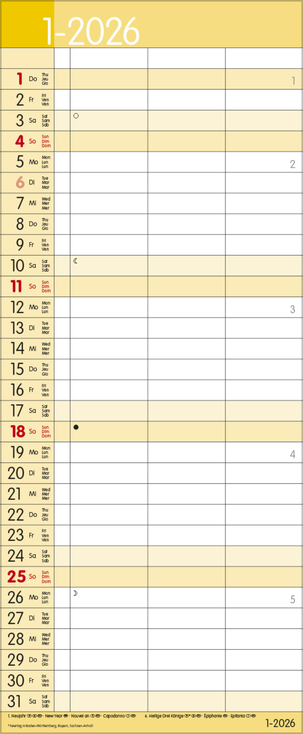 Timer for 2 Safran 2026, Innenansicht #1