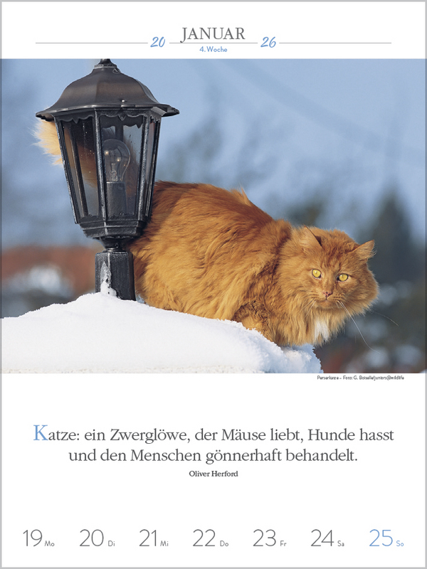 Literaturkalender Katzen 2026, Innenansicht #1