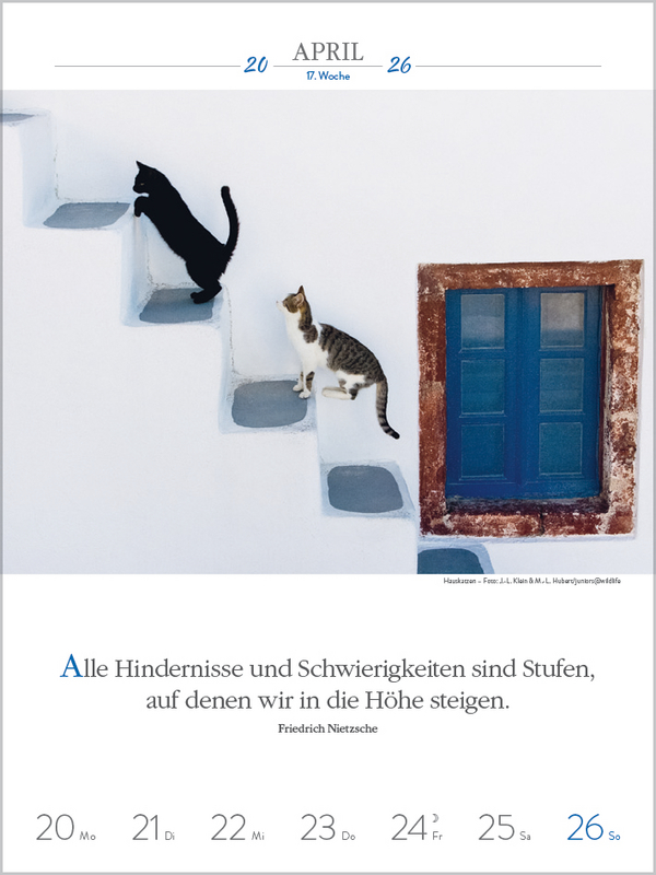 Literaturkalender Katzen 2026, Innenansicht #3