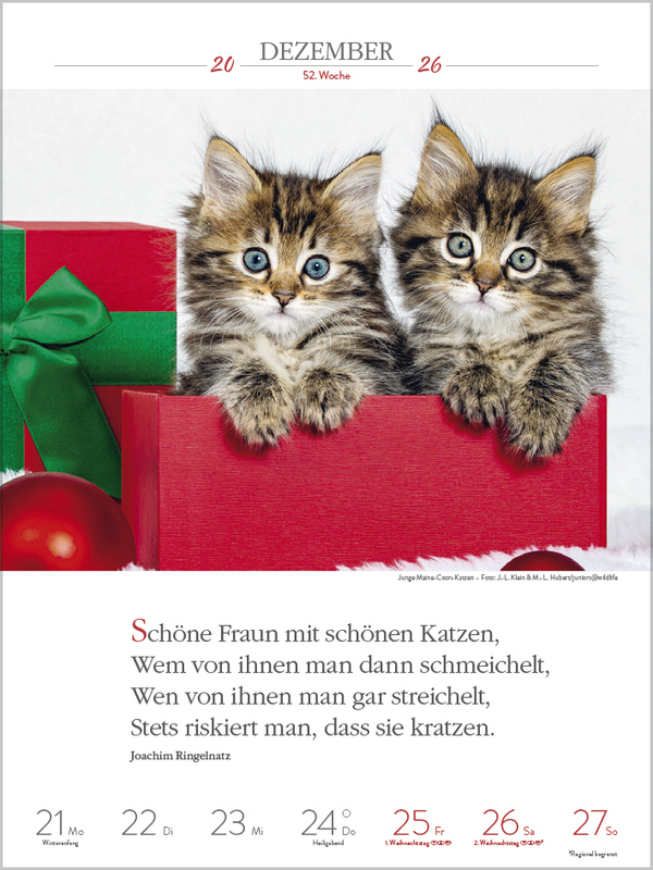 Literaturkalender Katzen 2026, Innenansicht #13