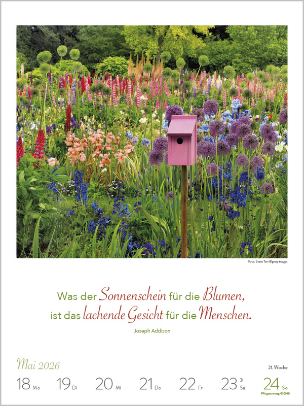 Literaturkalender Lebensweisheiten 2026, Innenansicht #5