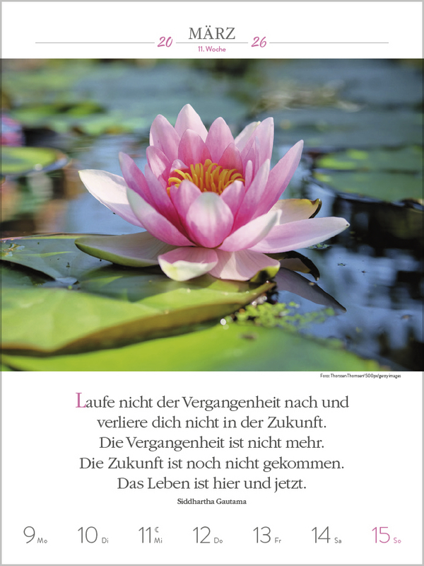 Buddhistische Weisheiten 2026, Innenansicht #2