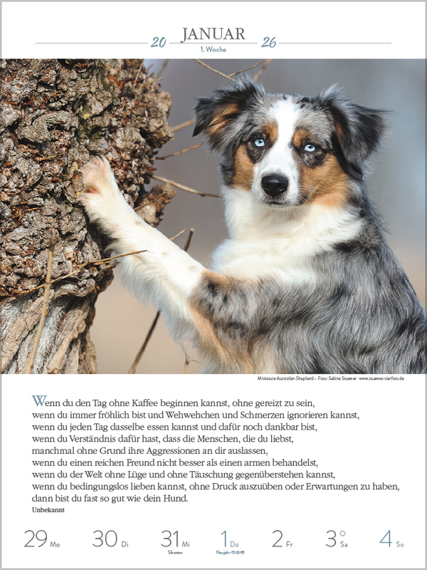 Literaturkalender Hunde 2026, Innenansicht #1