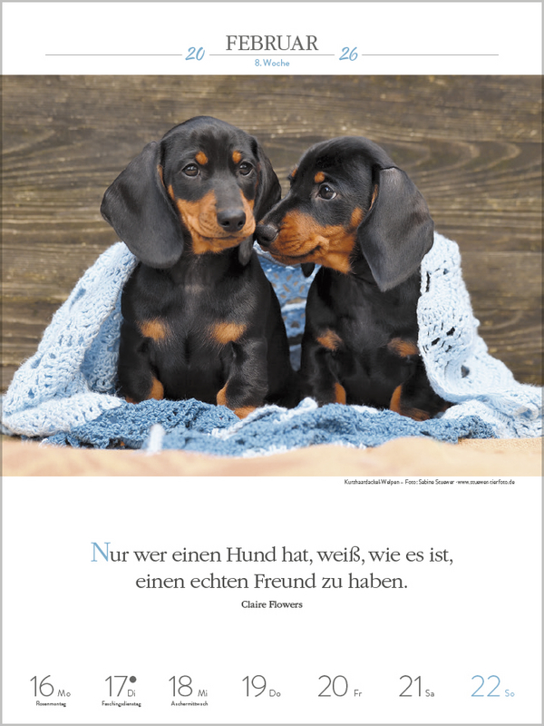Literaturkalender Hunde 2026, Innenansicht #2