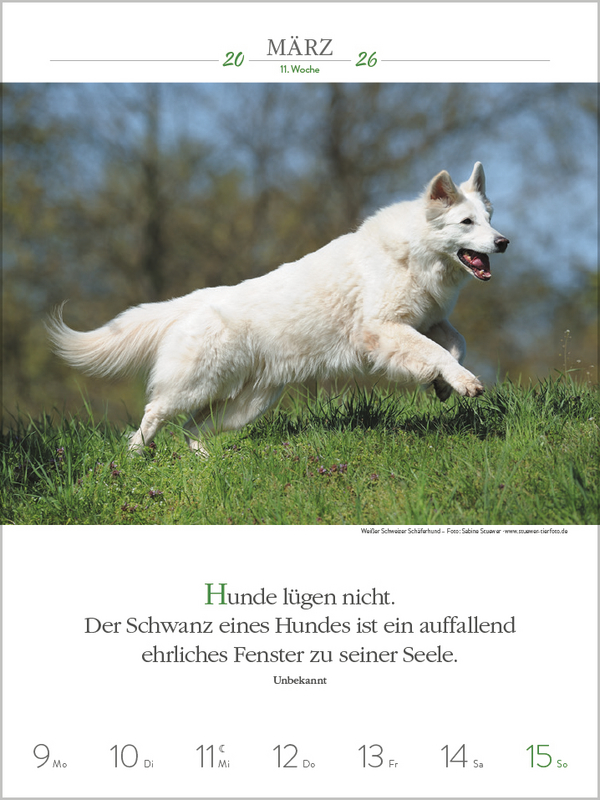 Literaturkalender Hunde 2026, Innenansicht #3