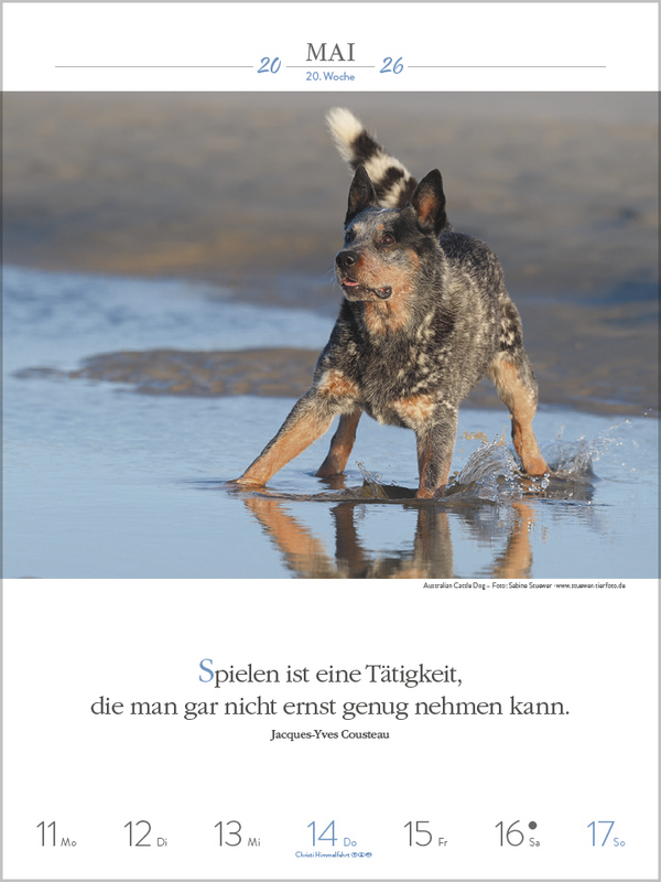 Literaturkalender Hunde 2026, Innenansicht #4