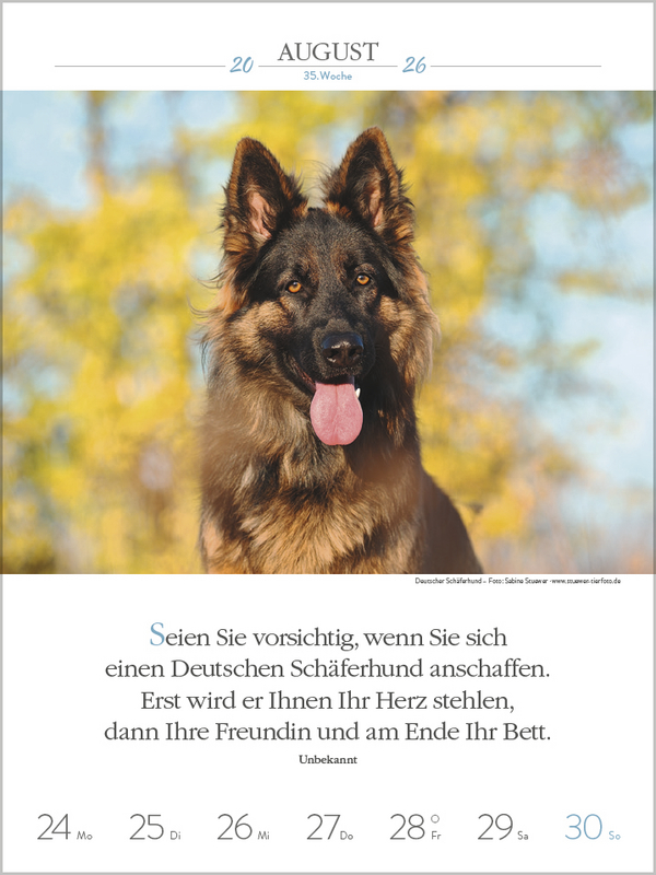 Literaturkalender Hunde 2026, Innenansicht #6