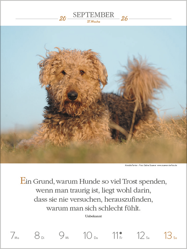 Literaturkalender Hunde 2026, Innenansicht #7