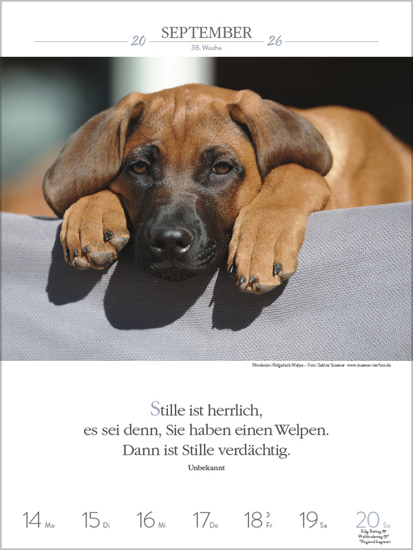 Literaturkalender Hunde 2026, Innenansicht #8