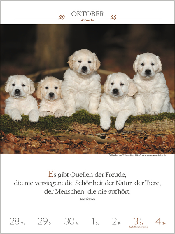 Literaturkalender Hunde 2026, Innenansicht #9
