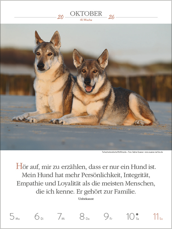 Literaturkalender Hunde 2026, Innenansicht #10