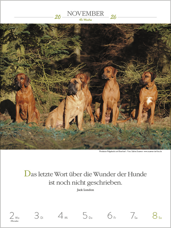 Literaturkalender Hunde 2026, Innenansicht #11