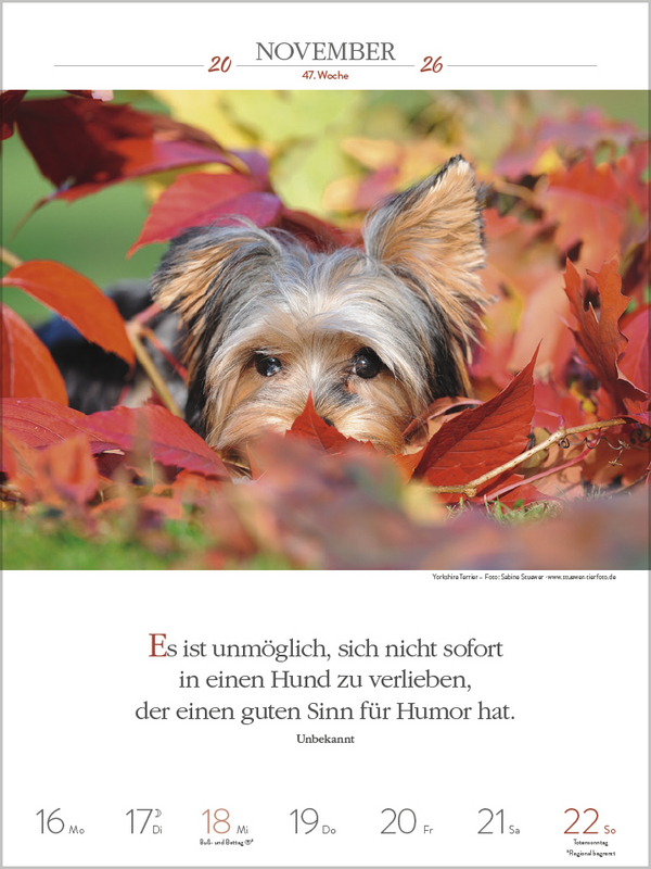 Literaturkalender Hunde 2026, Innenansicht #12