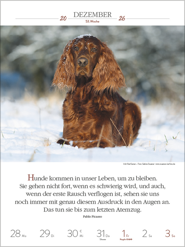 Literaturkalender Hunde 2026, Innenansicht #13