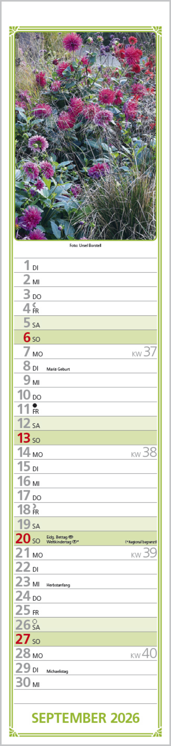Rudis Gartenplaner 2026, Innenansicht #9