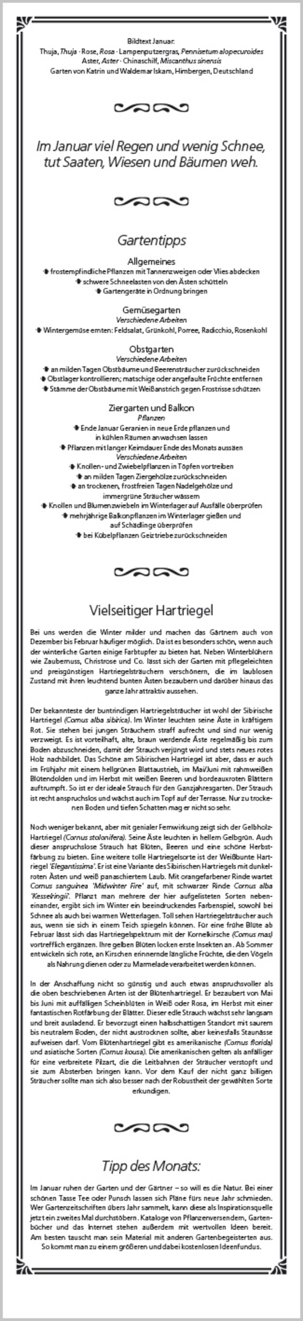 Rudis Gartenplaner 2026, Innenansicht #13