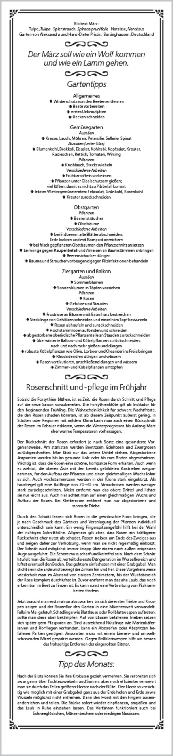 Rudis Gartenplaner 2026, Innenansicht #15