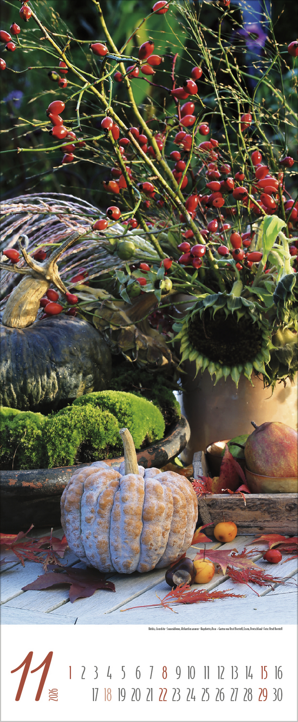 G&auml;rten 2026, Innenansicht #11