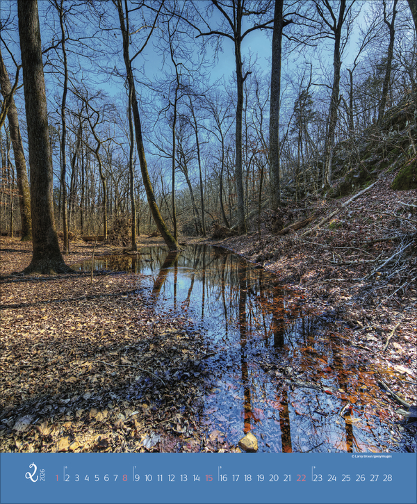 Augenblicke im Wald 2026, Innenansicht #2