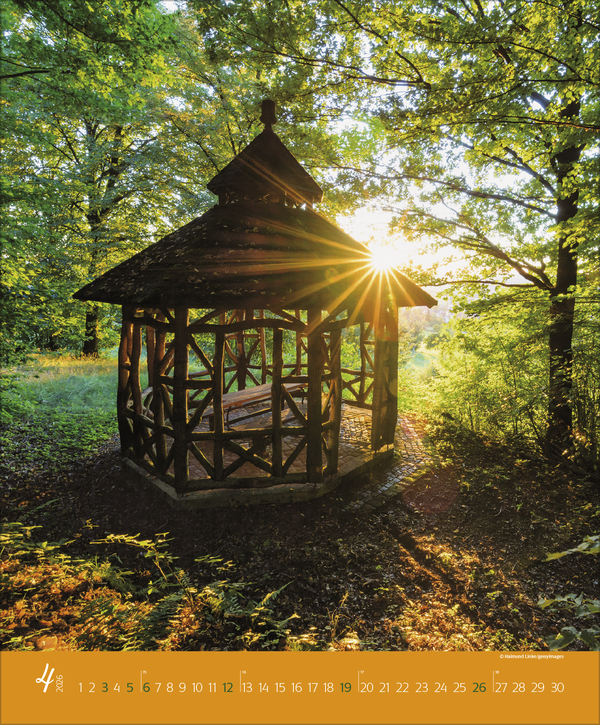 Augenblicke im Wald 2026, Innenansicht #4