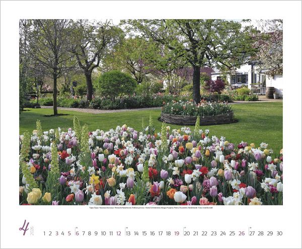 Gartenträume 2026, Innenansicht #4