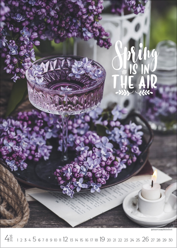 Seasons 2026, Innenansicht #4