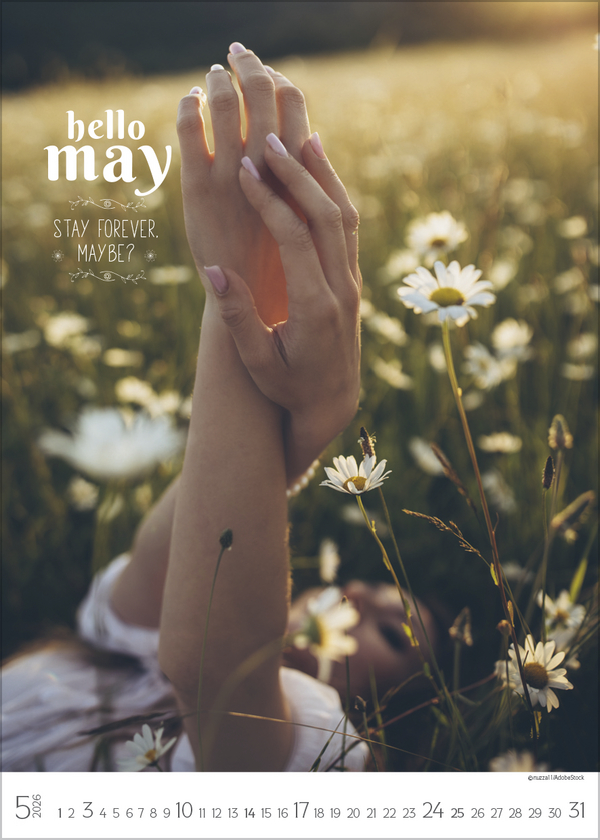 Seasons 2026, Innenansicht #5