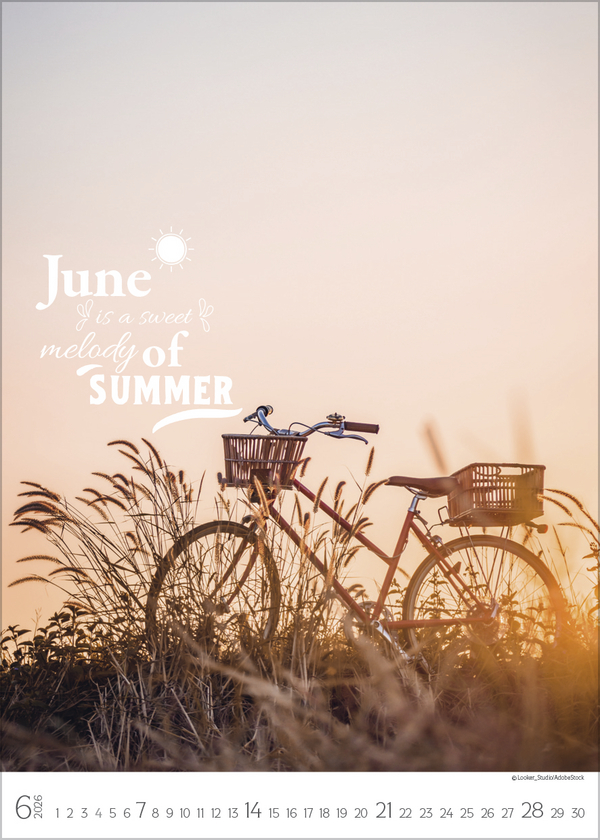 Seasons 2026, Innenansicht #6