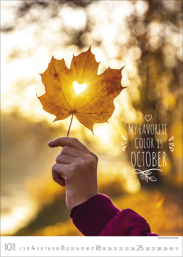 Seasons 2026, Innenansicht #10