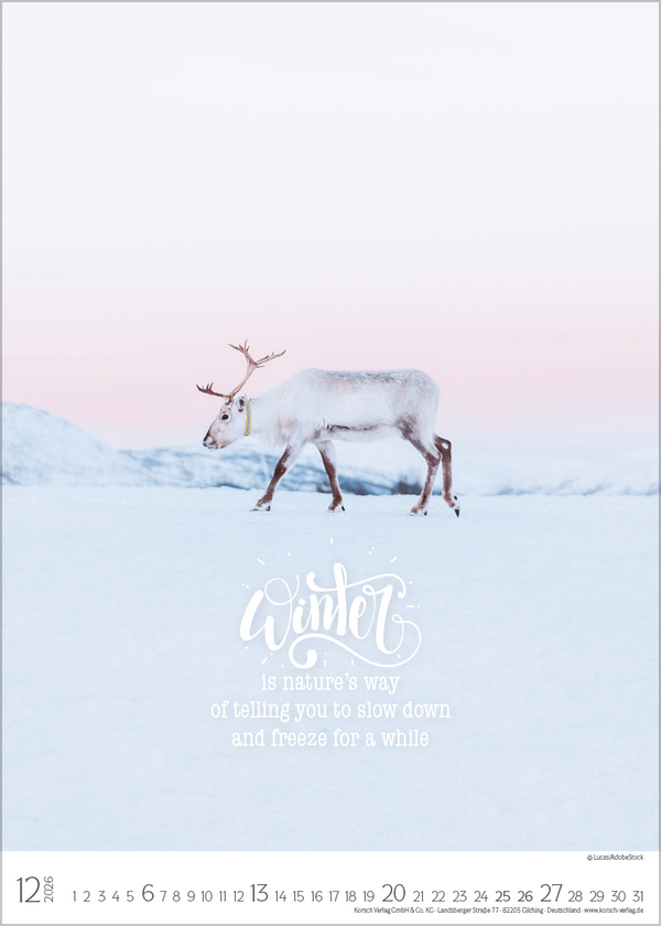 Seasons 2026, Innenansicht #12