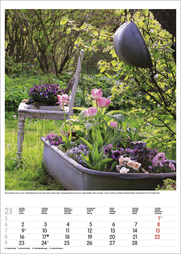 Gartenträume 2026, Innenansicht #2