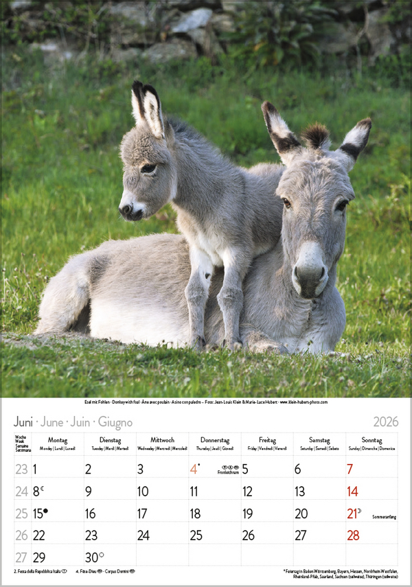 Tierkinder 2026, Innenansicht #6