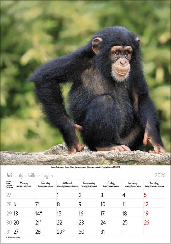Tierkinder 2026, Innenansicht #7