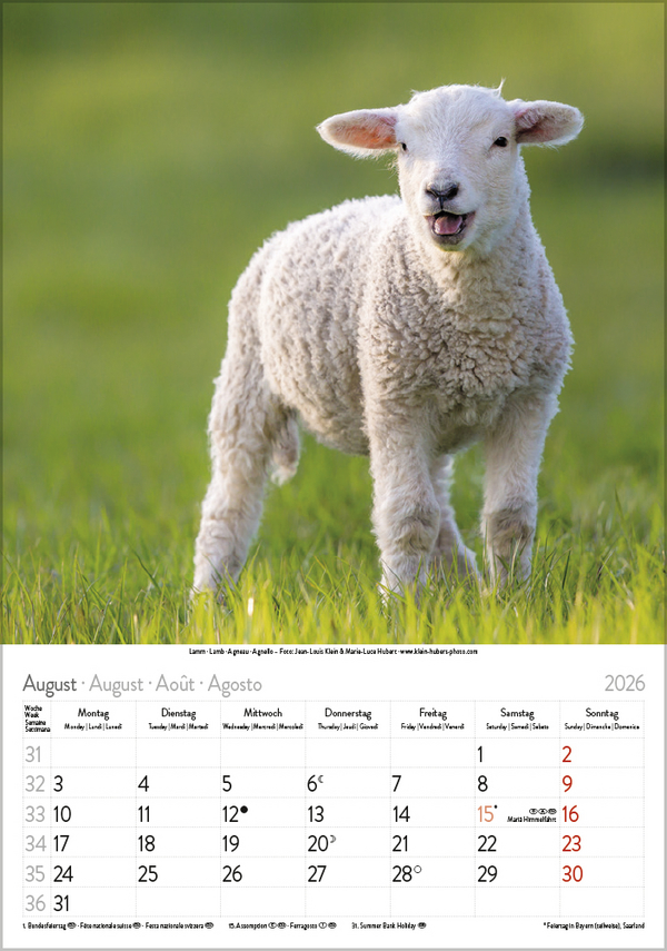 Tierkinder 2026, Innenansicht #8