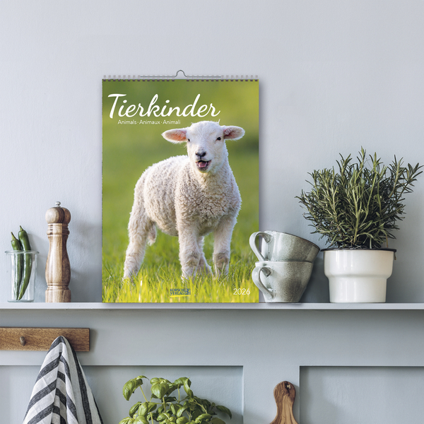 Tierkinder 2026, Innenansicht #16