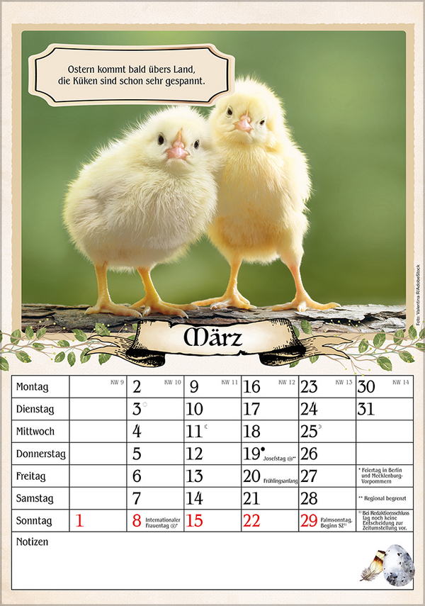 Kalender für Rentner 2026, Innenansicht #4