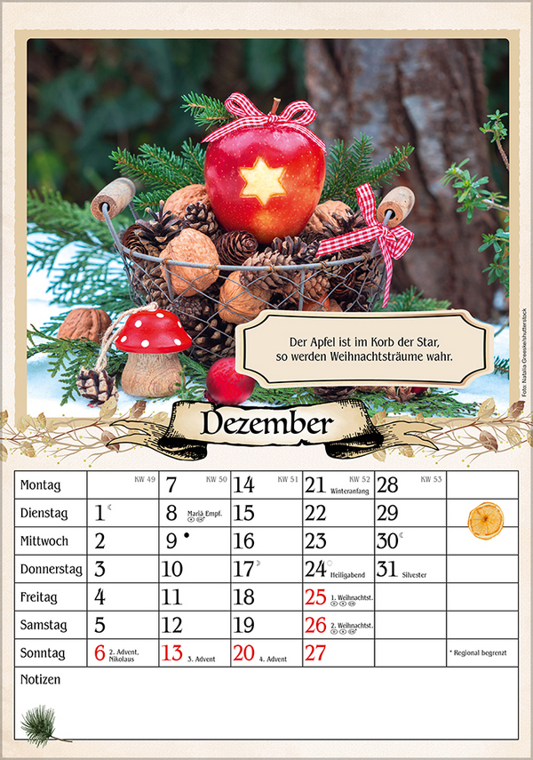 Kalender für Rentner 2026, Innenansicht #15